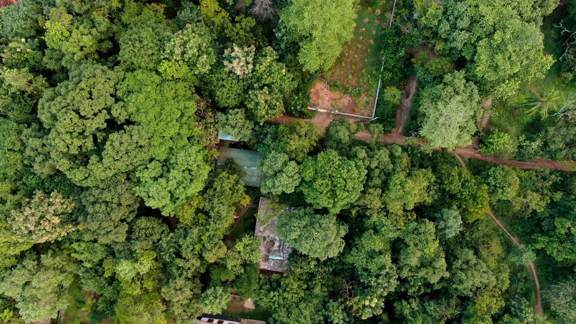 Woodsy Villa Sigiriya Buitenkant foto