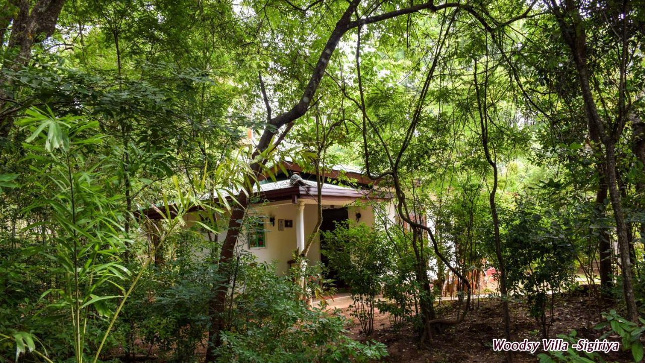 Woodsy Villa Sigiriya Buitenkant foto
