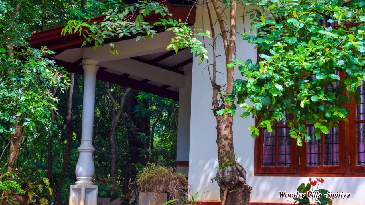 Woodsy Villa Sigiriya Buitenkant foto